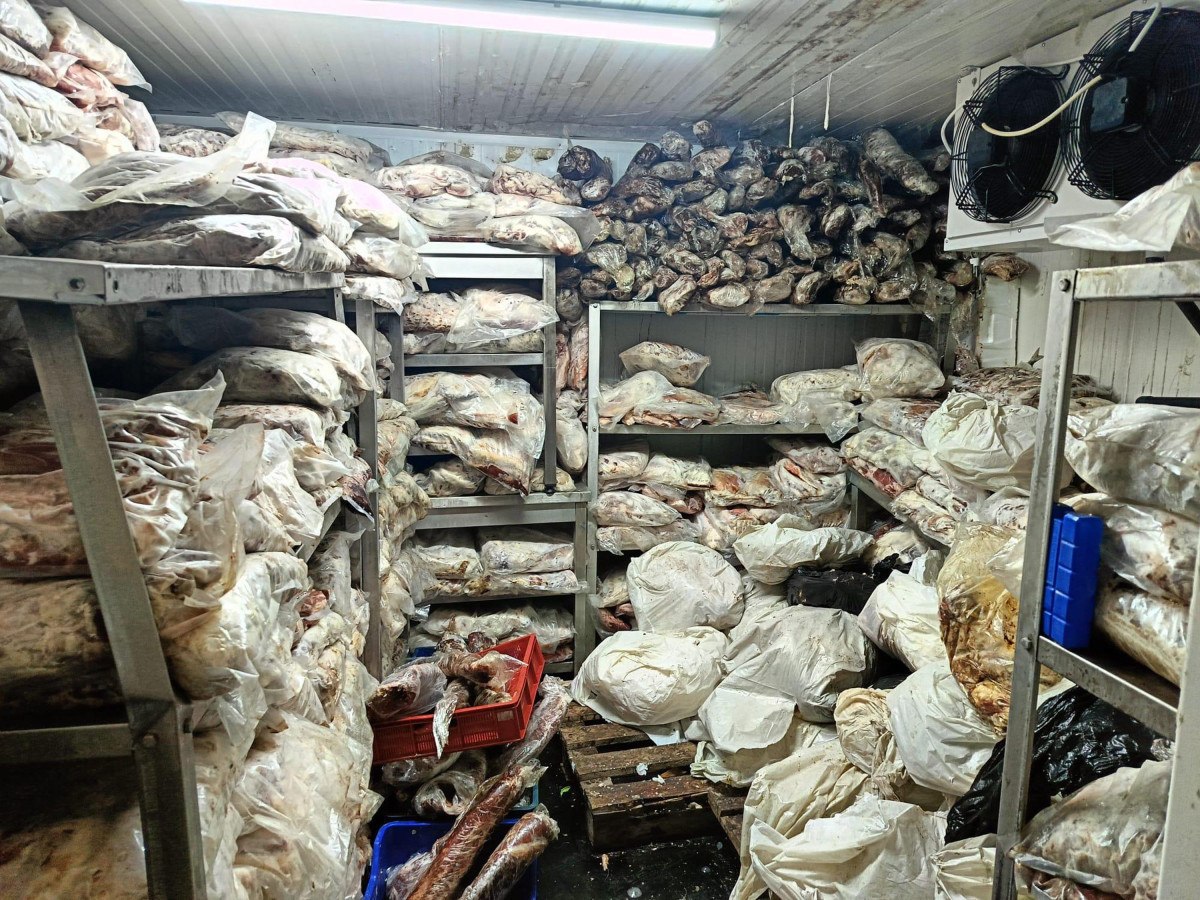 Şanlıurfa'da Gıda Denetiminde 3,8 Ton Bozuk Et Ele Geçirildi