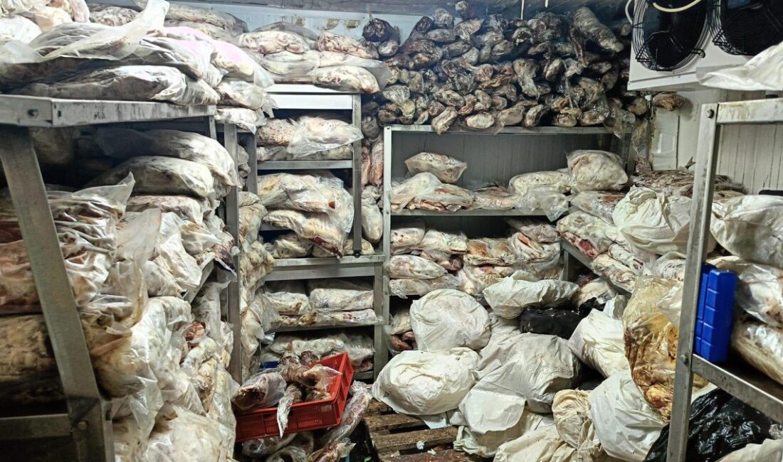 Şanlıurfa'da gerçekleştirilen gıda denetimlerinde 3,8 ton bozuk et ele geçirildi.