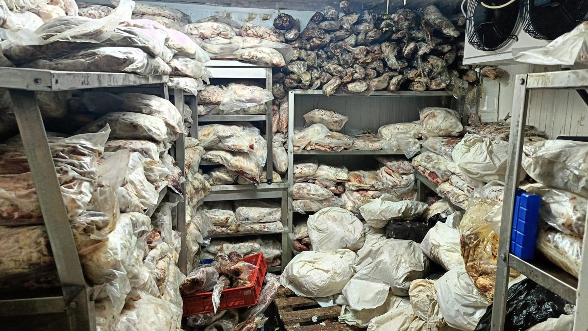 Şanlıurfa'da gerçekleştirilen gıda denetimlerinde 3,8 ton bozuk et ele geçirildi.