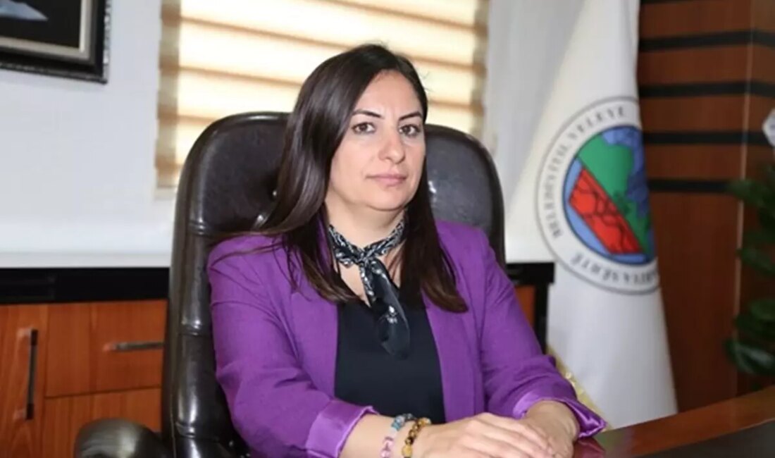 Siirt Belediye Başkanı Sofya Alağaş'a verilen 6 yıl 3 ay