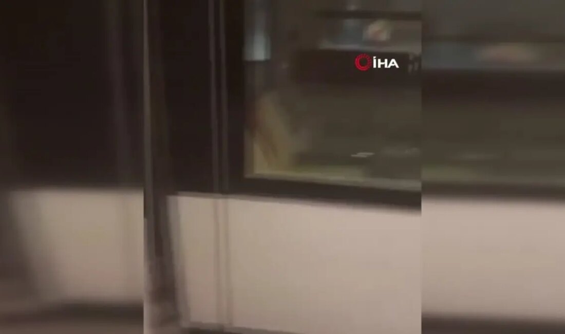 Strasbourg'da meydana gelen tramvay kazasında 68 kişi yaralandı. Olayın detayları,