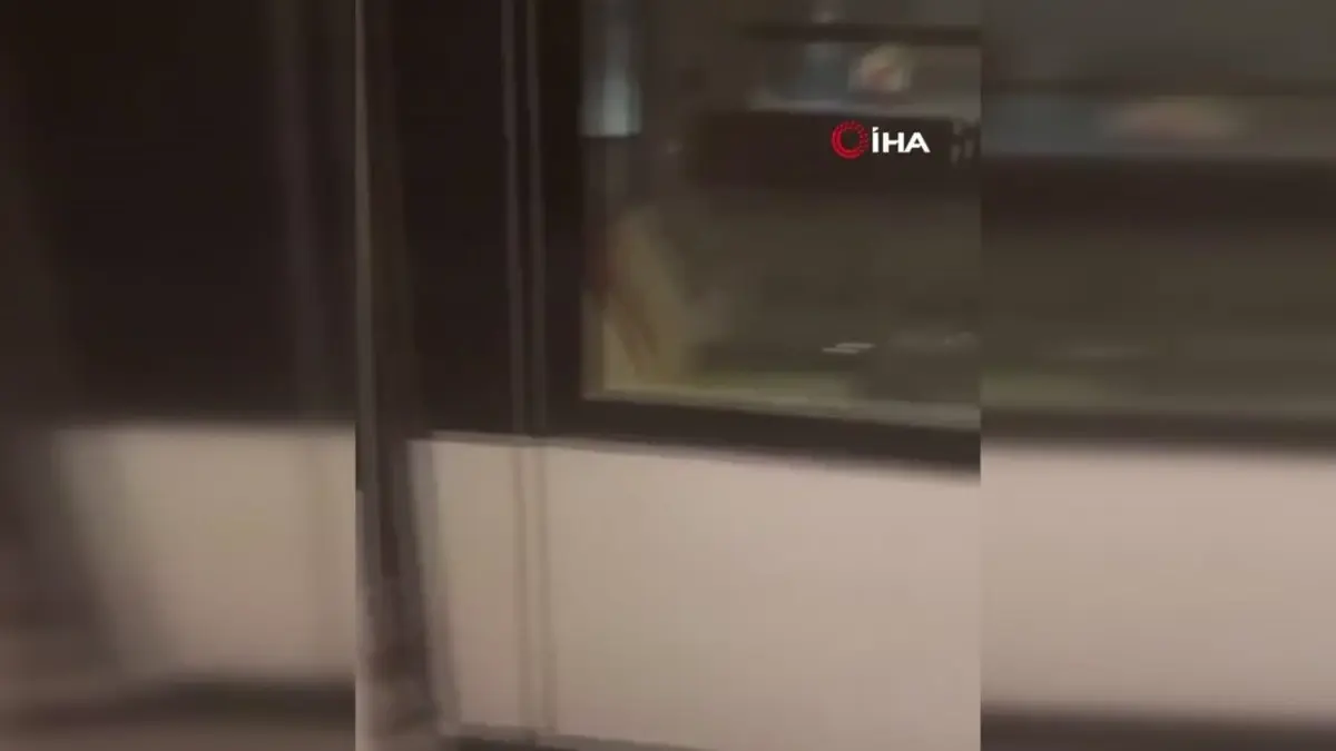 Strasbourg'da meydana gelen tramvay kazasında 68 kişi yaralandı. Olayın detayları,