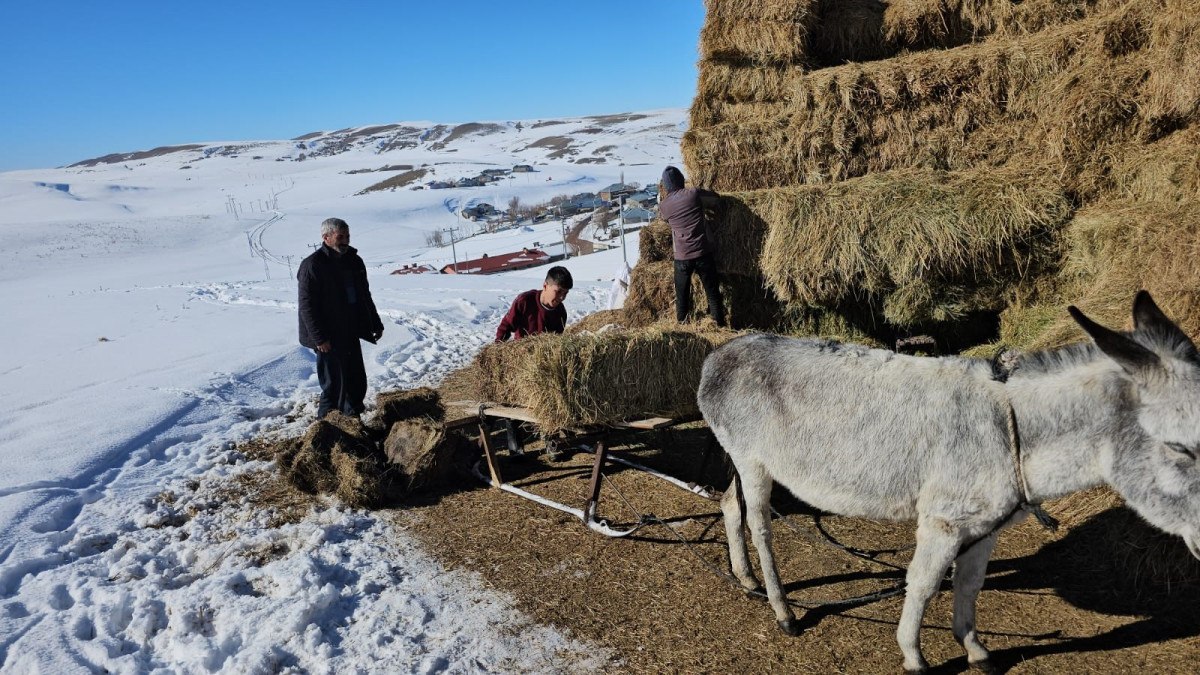 Süphan Dağı Eteklerinde Kış Zorlukları ve Hayvancılık Mücadelesi