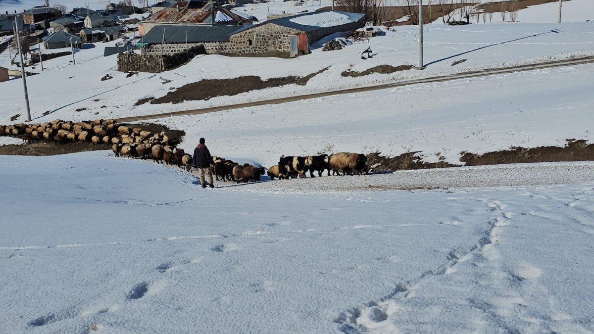 Süphan Dağı Eteklerinde Kış Zorlukları ve Hayvancılık Mücadelesi