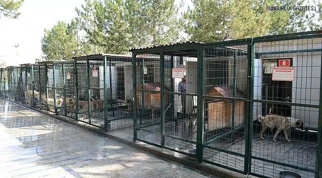 Ramazan'da Gıda Fiyatları Denetimi