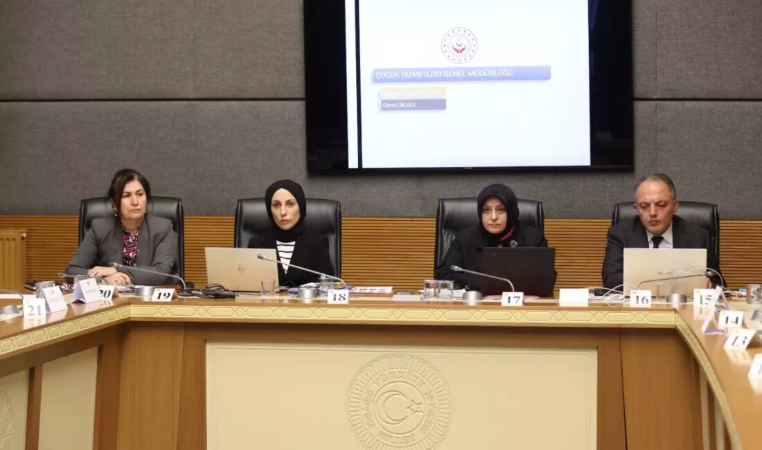 TBMM Çocuklara Karşı Şiddet ve İstismar Komisyonu Sunumu, çocukların korunması