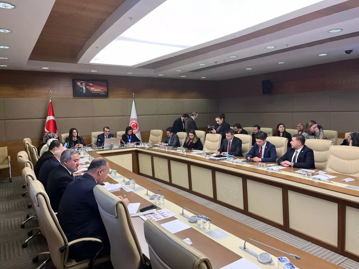 TBMM Yapay Zeka Araştırma Komisyonu Toplantısı, yapay zekanın Türkiye'deki gelişimi,