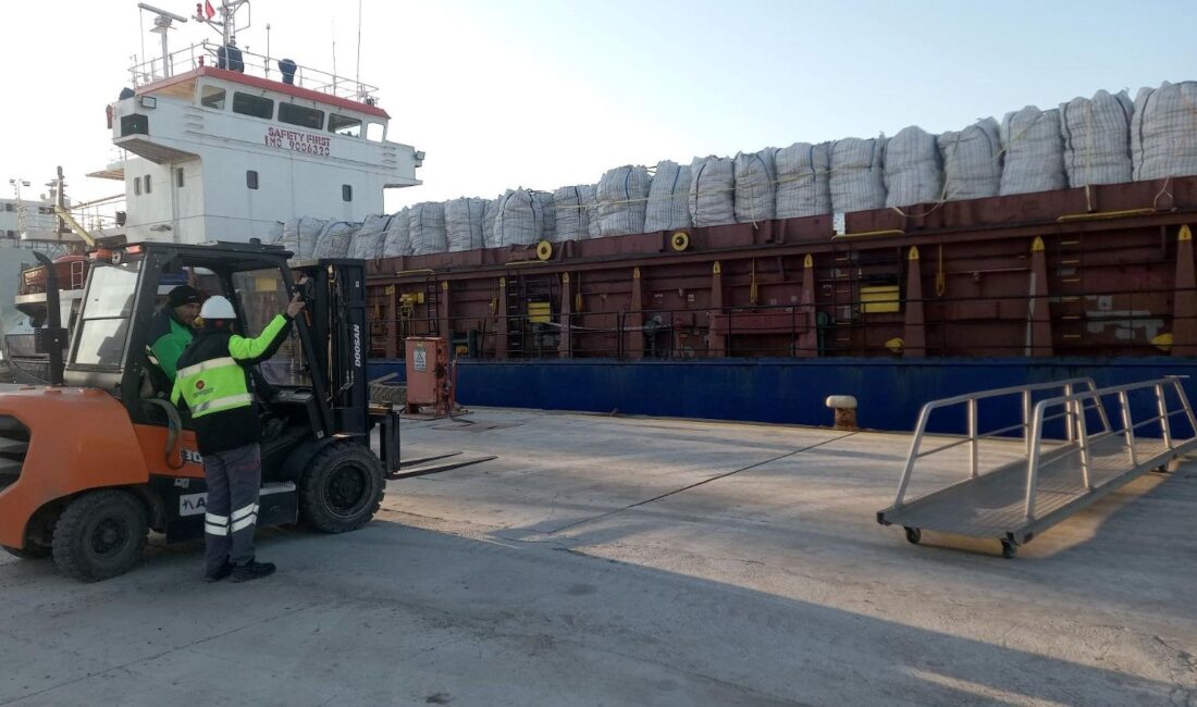 Tunus'a iade edilen patateslerin hikayesi ve imha sürecinin detayları. Tarım