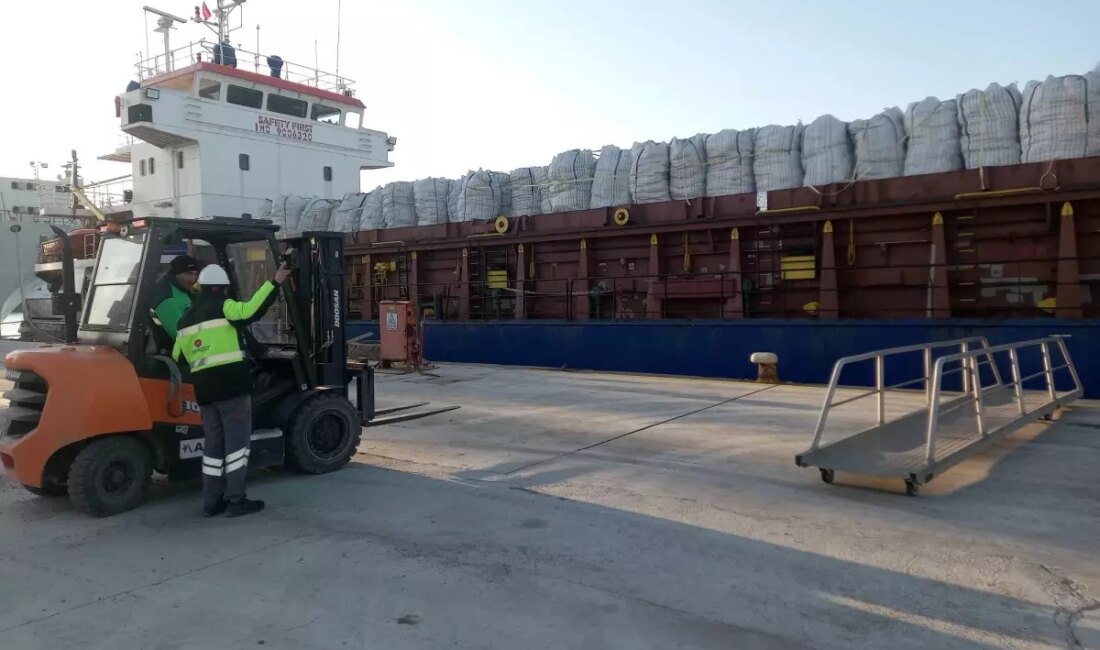 Tunus'a ihraç edilen patateslerin iade ve imha sürecini detaylı bir