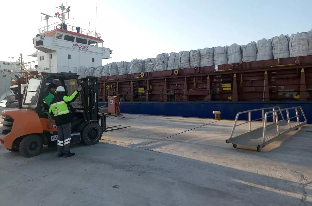 Tunus'a ihraç edilen patateslerin iade ve imha sürecini detaylı bir