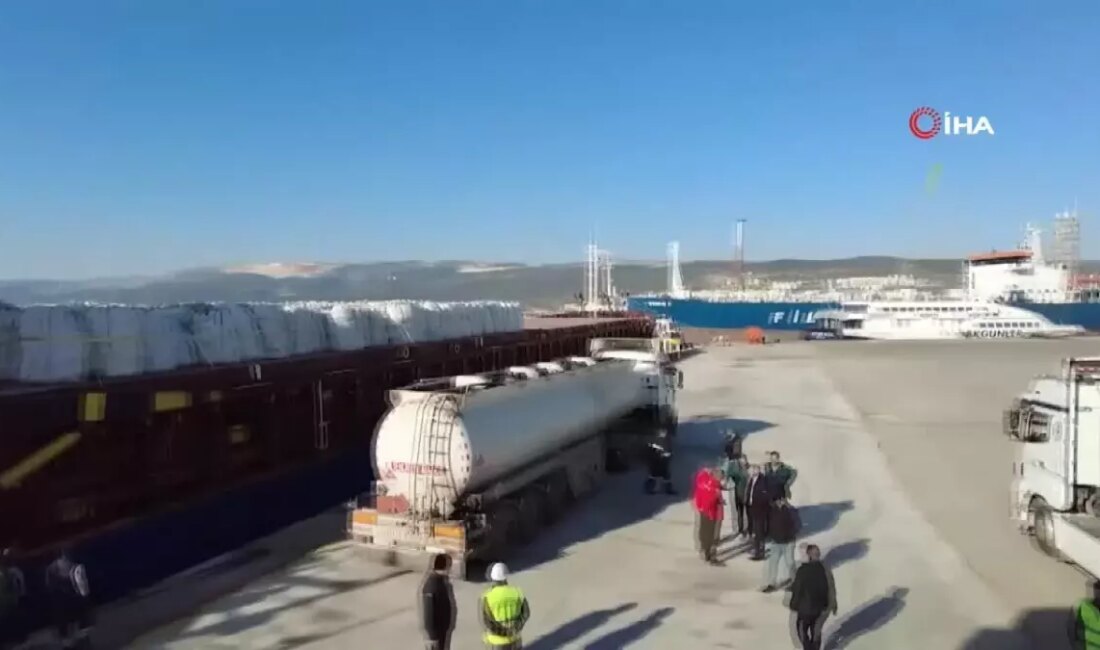 Tunus'tan iade edilen 2,500 ton patates, Mersin'de imha edildi. Gıda