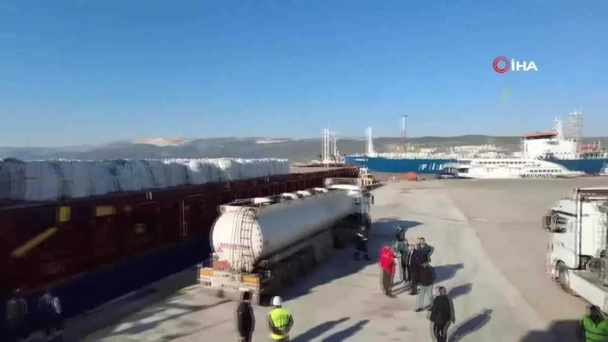 Tunus'tan iade edilen 2,500 ton patates, Mersin'de imha edildi. Gıda