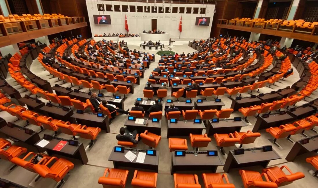 Türkiye Büyük Millet Meclisi'nde pırlanta tartışmaları, değerli taşların ekonomik ve