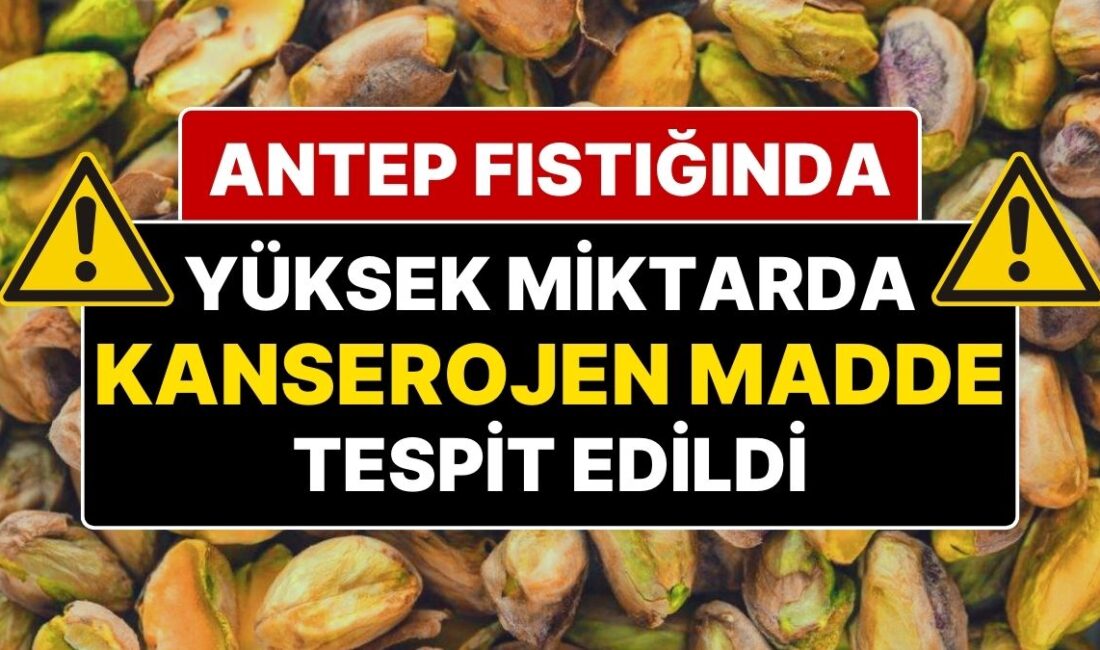 Türkiye'den Yunanistan'a ihraç edilen Antep fıstıkları, aflatoksin içeriği nedeniyle geri