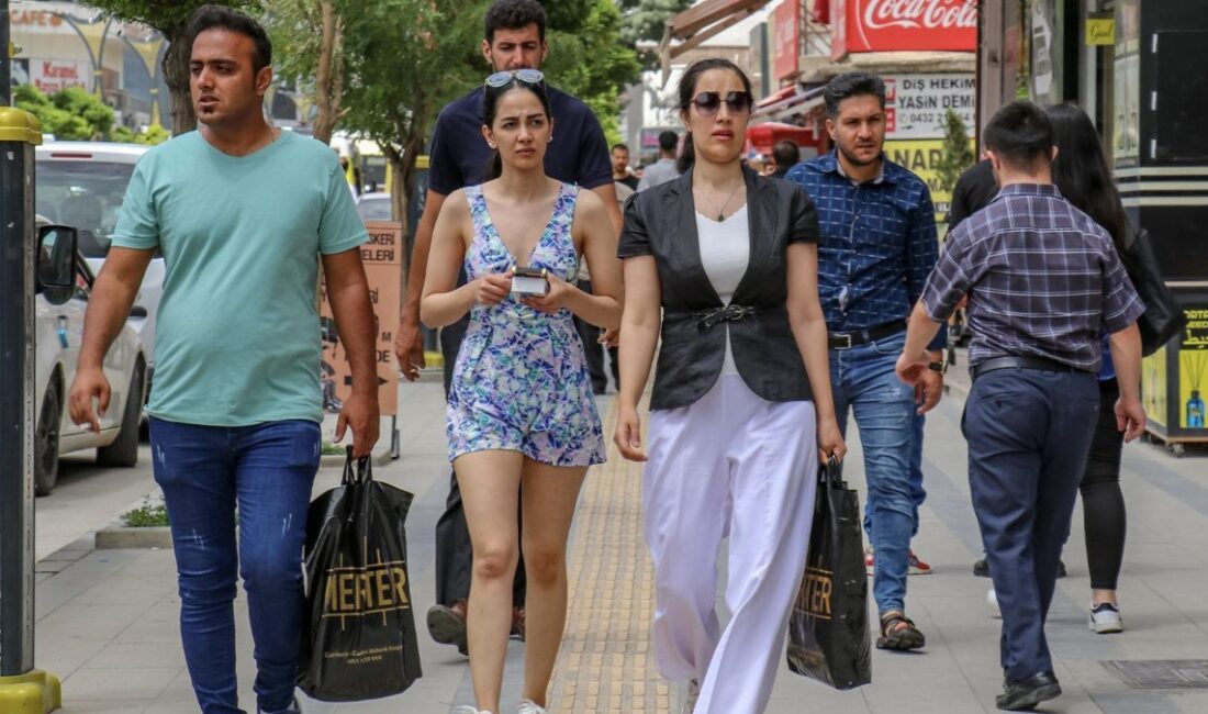 Van ve İran arasındaki turizm potansiyelinin gelişimi, kültürel zenginlikler, doğal