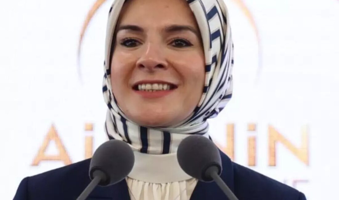 Yaşlılar için özel olarak tasarlanmış eğitim fırsatları ve Tazelenme Üniversiteleri