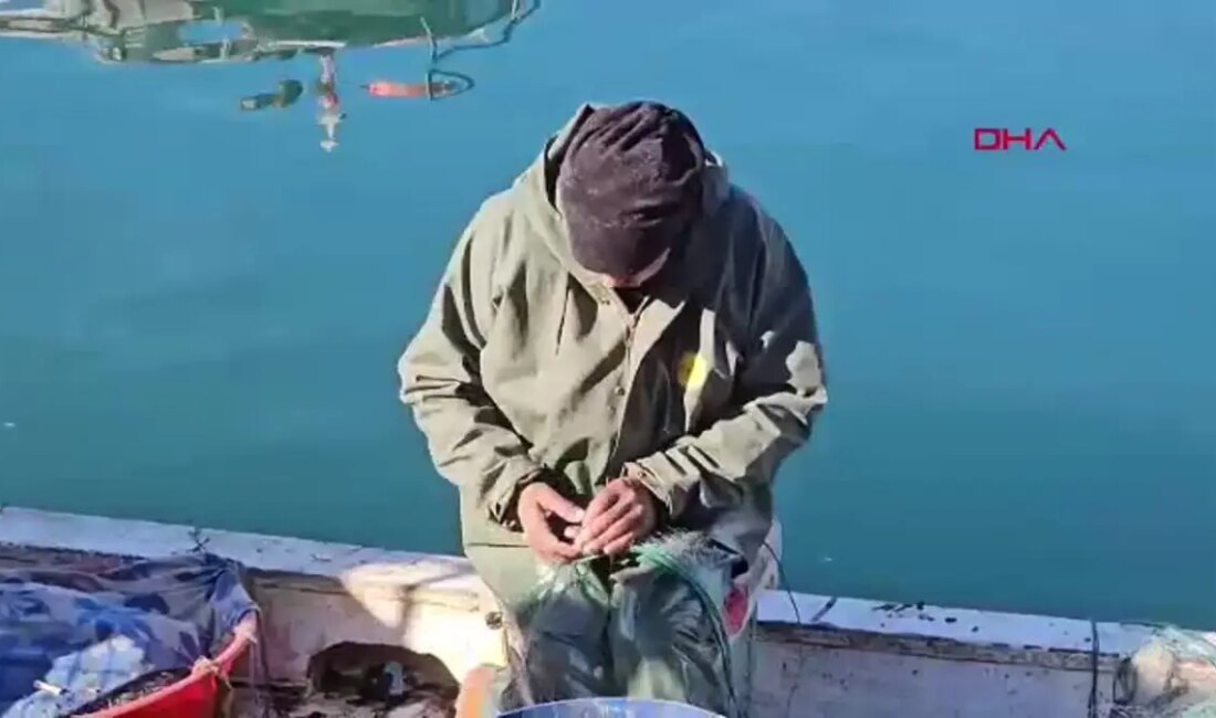Zonguldak'ta balıkçılık sezonu bu yıl bereketli geçiyor. Yerel balıkçıların yüzleri