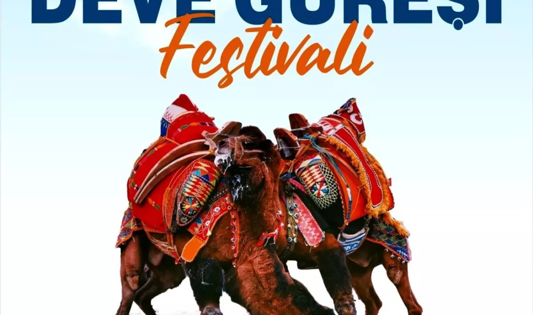 3. Kuyulu Geleneksel Deve Güreşi Festivali, eşsiz bir kültürel deneyim