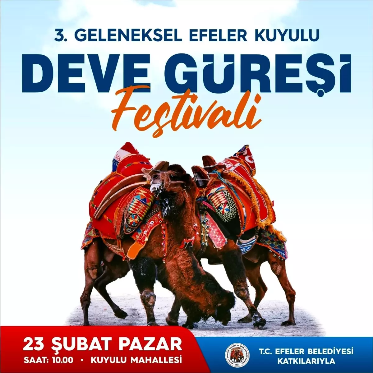 3. Kuyulu Geleneksel Deve Güreşi Festivali, eşsiz bir kültürel deneyim