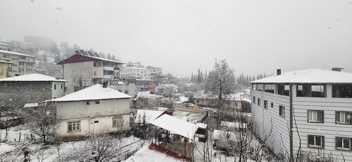 Adana'da Yoğun Kar Yağışı Etkili Oldu