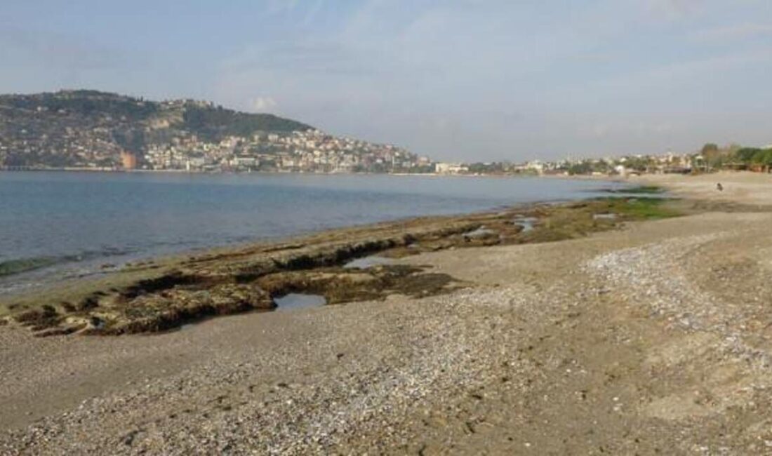 Alanya'da deniz suyunun çekilmesi, depremlerle ilişkisi ve tsunami riski hakkında