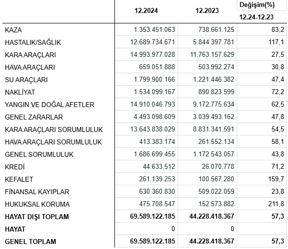 Anadolu Sigorta'nın 2024 Yılı Başarıları