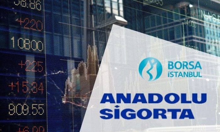 Anadolu Sigorta'nın 2024 yılı başarıları ve performansı üzerine kapsamlı bir