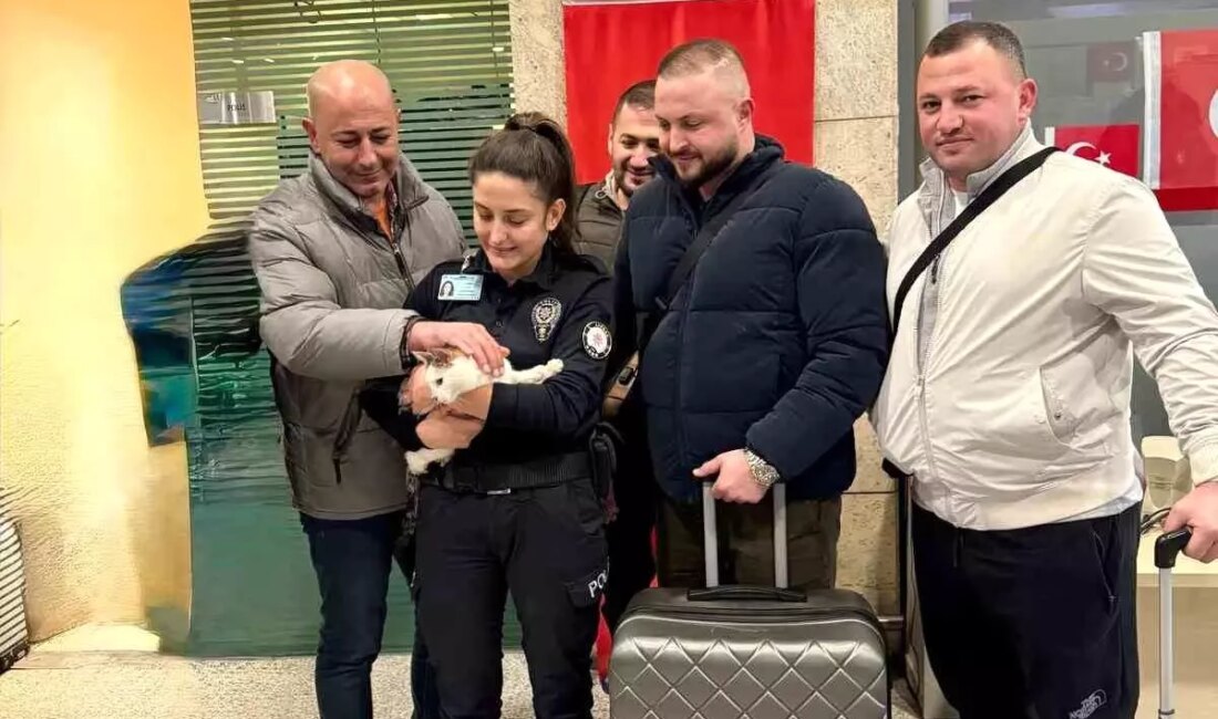 Ankara Esenboğa Havalimanı'nda terkedilen bir kedi, hayvanseverlerin yardımıyla kurtarıldı. Bu