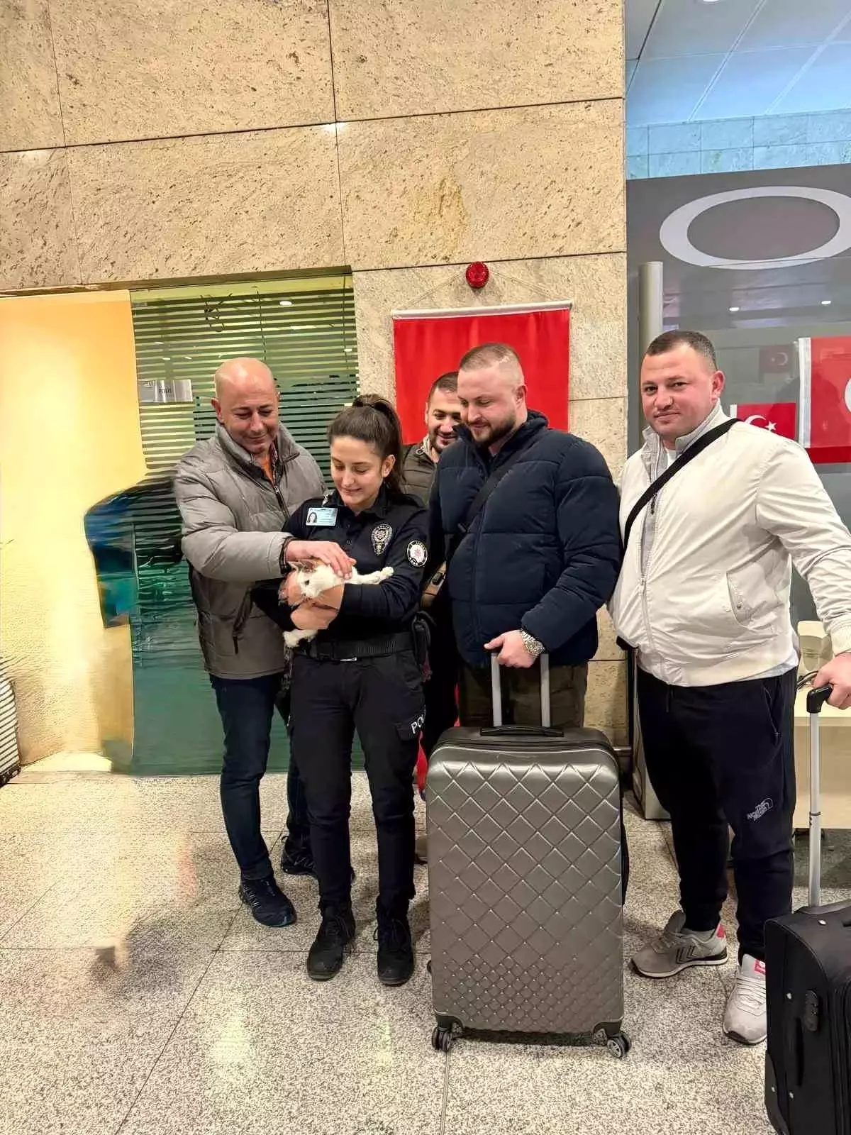 Ankara Esenboğa Havalimanı'nda terkedilen bir kedi, hayvanseverlerin yardımıyla kurtarıldı. Bu