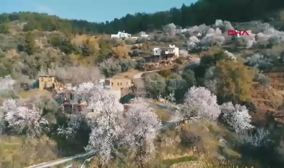 Antalya'da erken çiçek açan badem ve kiraz ağaçları, üreticiler için