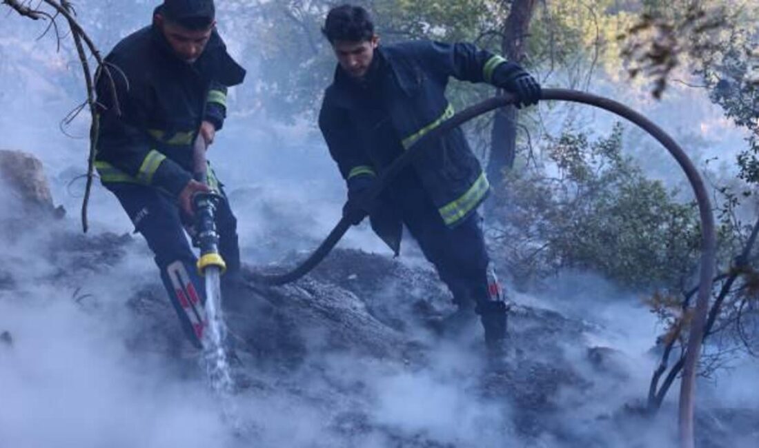 Antalya'da çıkan orman yangını, ekipler tarafından kontrol altına alınmaya çalışılıyor.