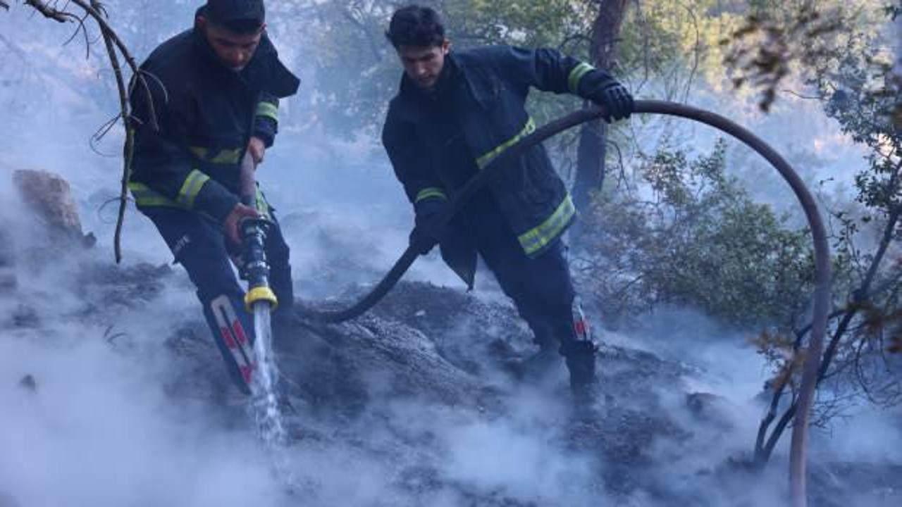 Antalya'da çıkan orman yangını, ekipler tarafından kontrol altına alınmaya çalışılıyor.