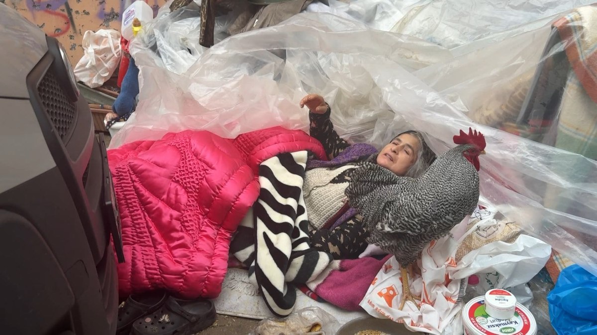 Avcılar'da yaşanan Horozlu Teyze olayı, çöp ev skandalıyla gündeme geldi.