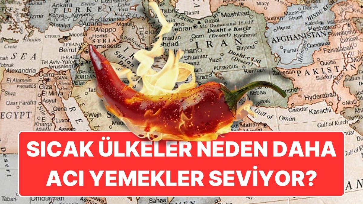Baharat kullanımının sıcaklıkla ilişkisini ve farklı kültürlerdeki etkilerini keşfedin. Bu