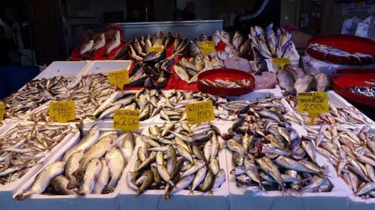 Balıkçılar, hamsi sezonunda verimliliği artırmak için yeni yöntemler ve teknolojiler