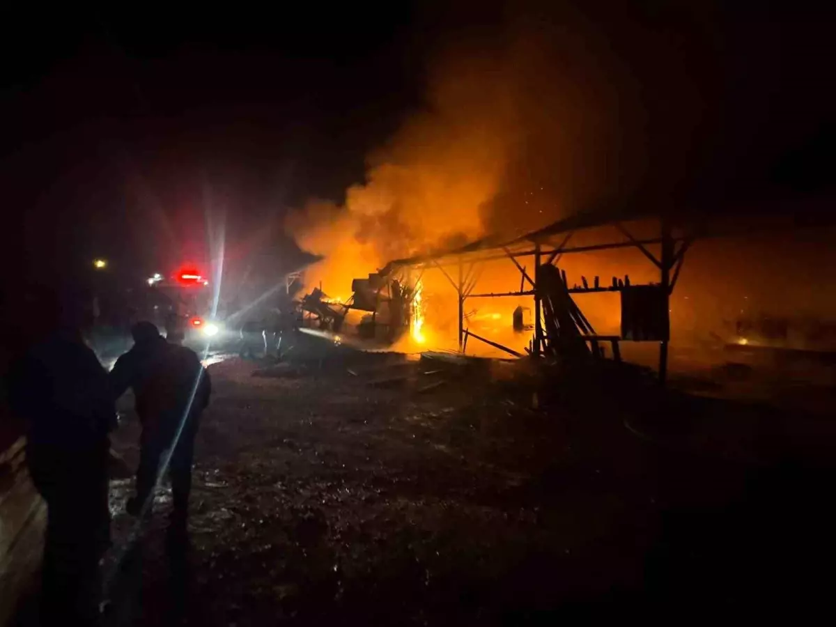 Balıkesir Dursunbey'de bulunan kereste deposunda çıkan yangın, çevrede paniğe neden