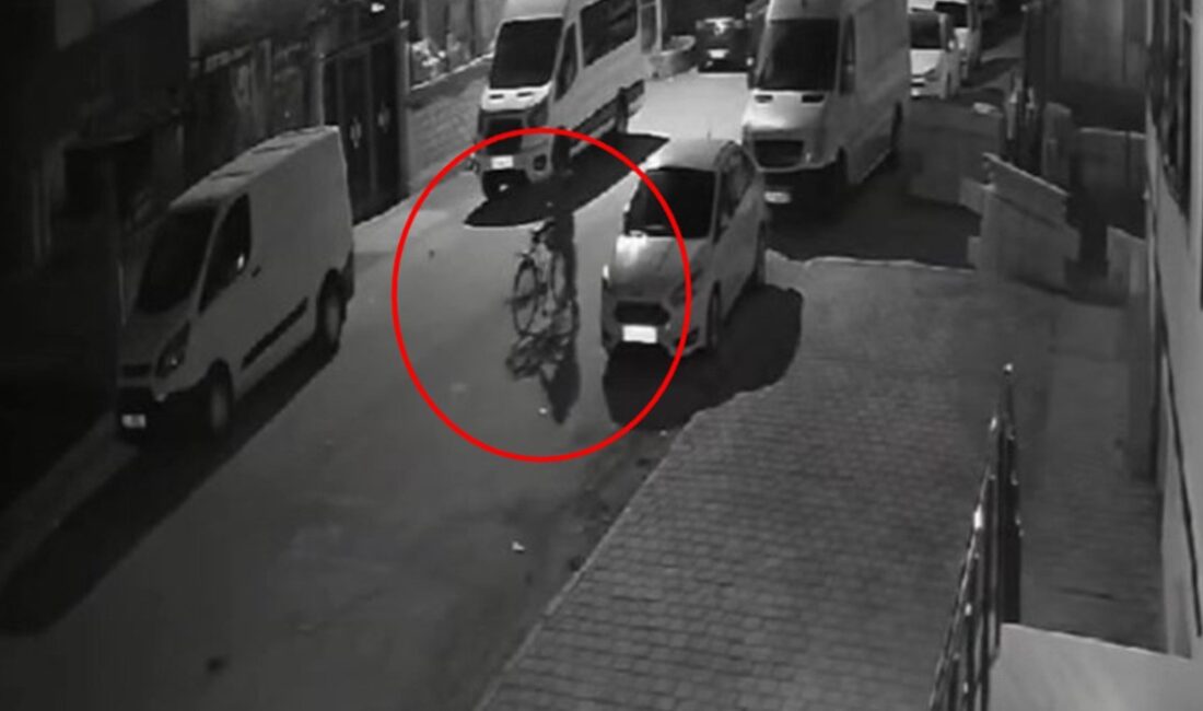 Batman'da bir mobilya mağazasında gerçekleşen hırsızlık olayı, güvenlik kameralarına yansıdı.