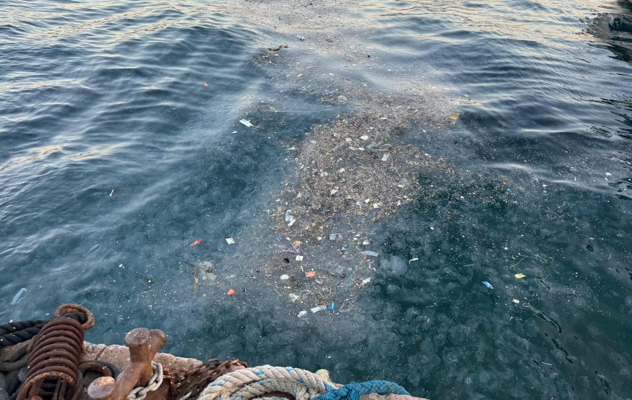 Beşiktaş'ta Deniz Kirliliği ve Vatandaş Tepkisi