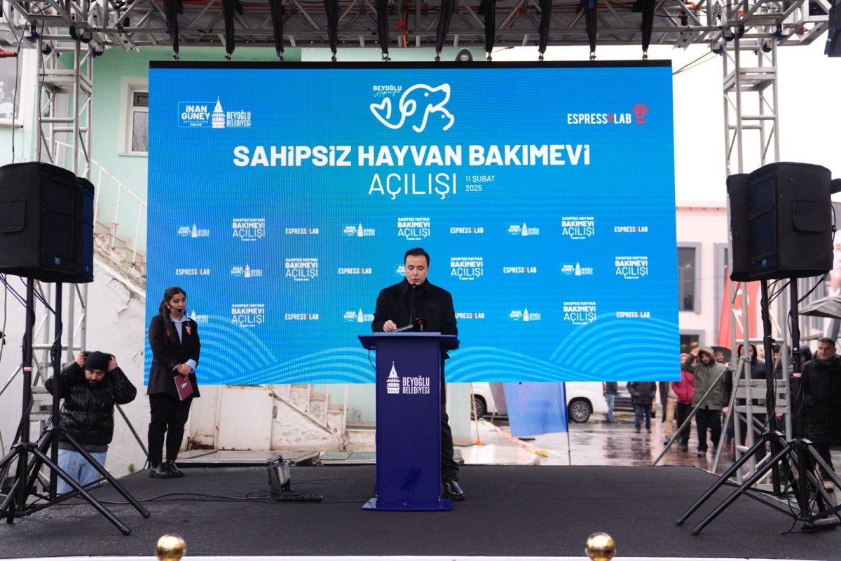 Beyoğlu'nda Sokak Hayvanları İçin Önemli Bir Proje