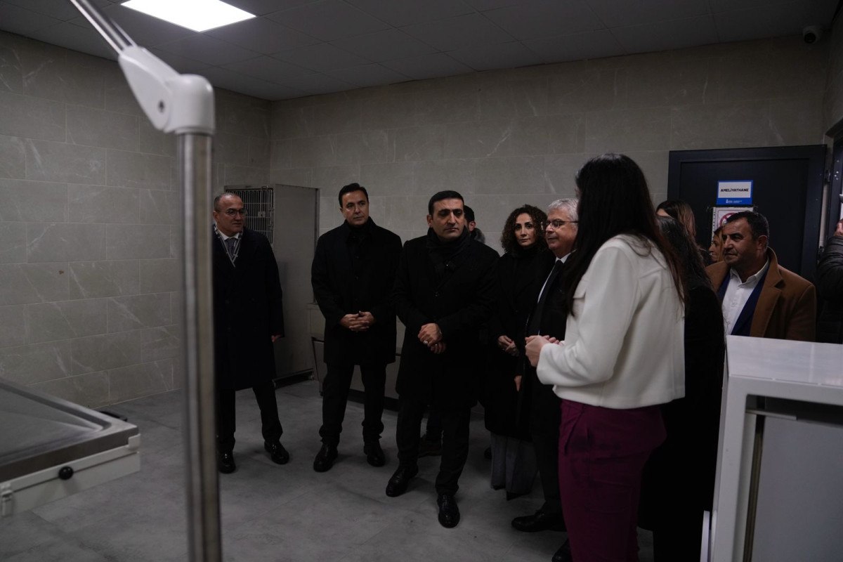 Beyoğlu'nda Sokak Hayvanları İçin Modern Bakım Merkezi Açıldı