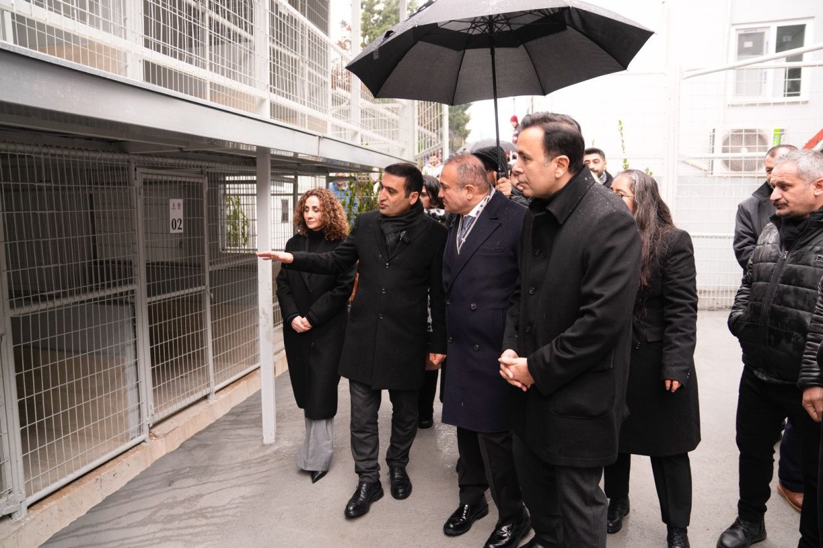 Beyoğlu'nda Sokak Hayvanları İçin Modern Bakım Merkezi Açıldı