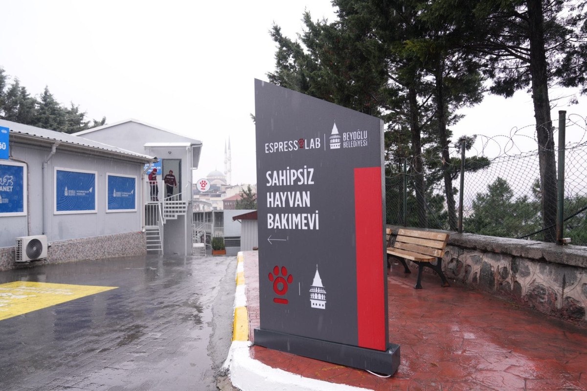 Modern Tesis ve Yenilikler