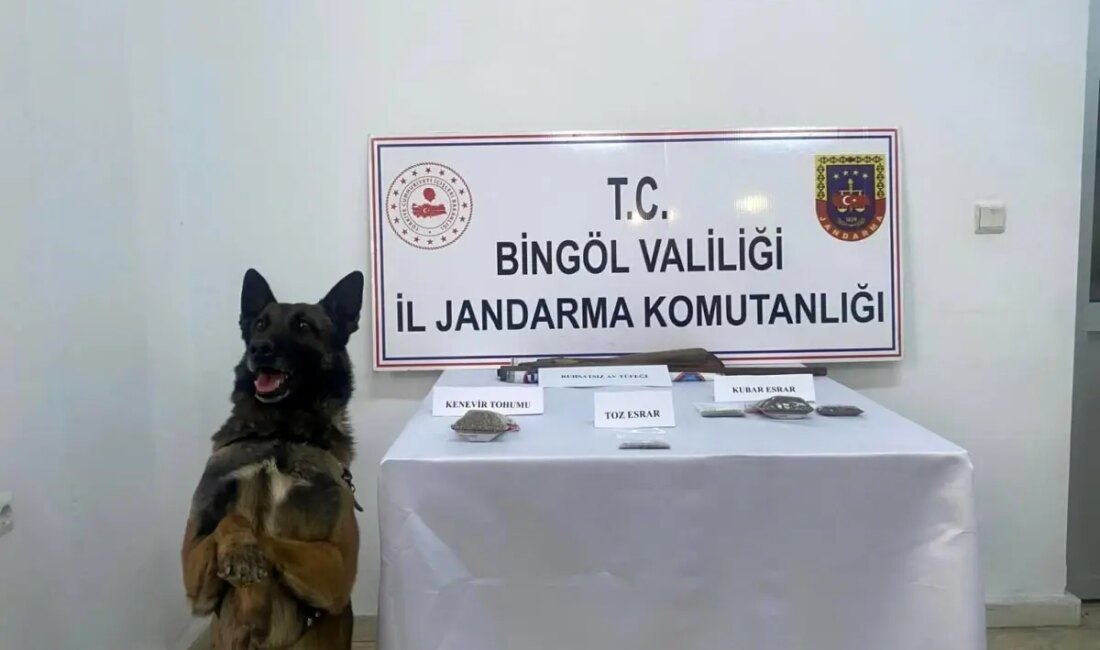 Bingöl'de gerçekleştirilen jandarma operasyonunda kaçak avcılık faaliyetlerine ve uyuşturucu maddelere