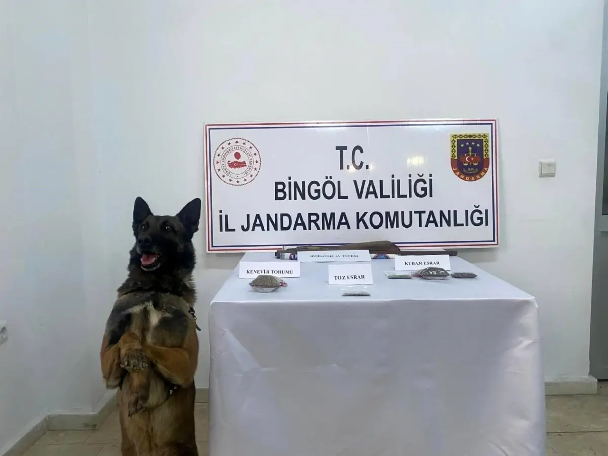 Bingöl'de gerçekleştirilen jandarma operasyonunda kaçak avcılık faaliyetlerine ve uyuşturucu maddelere