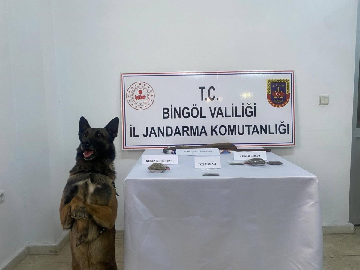 Bingöl'de Uyuşturucu ile Mücadele: Jandarma Operasyonu