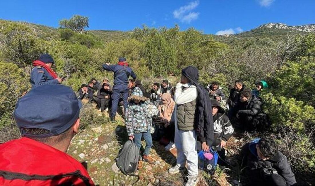 Bodrum'da gerçekleştirilen düzensiz göçmen operasyonunda 34 göçmen yakalandı. Operasyonun detayları