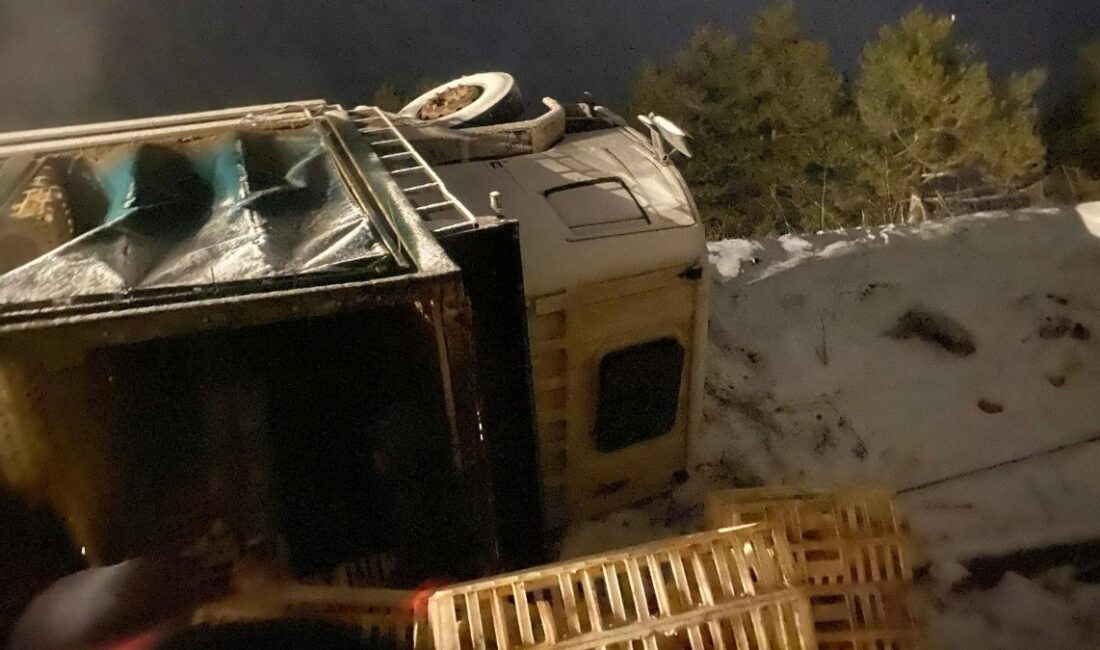 Bolu'da meydana gelen korkunç kaza, tavuk yüklü bir kamyonun devrilmesiyle