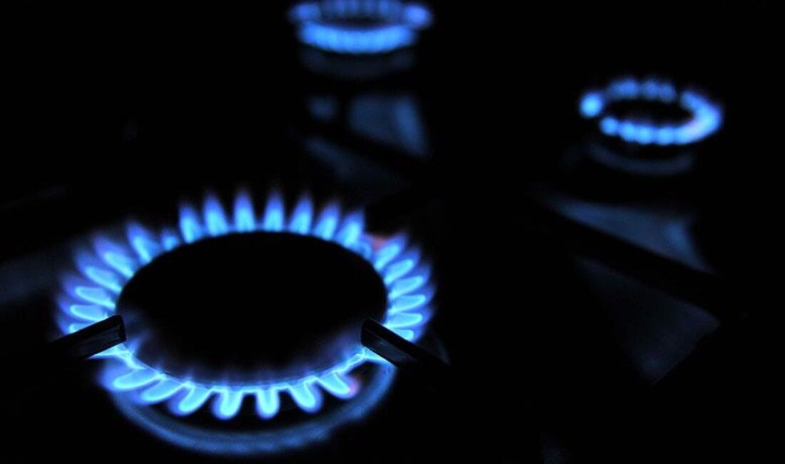 Boru Çizgileri ile Petrol Taşıma AŞ, mart ayı prestijiyle mesken