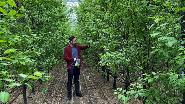Yurt Dışından Gelen Taleplere Yetişmeye Çalışıyor