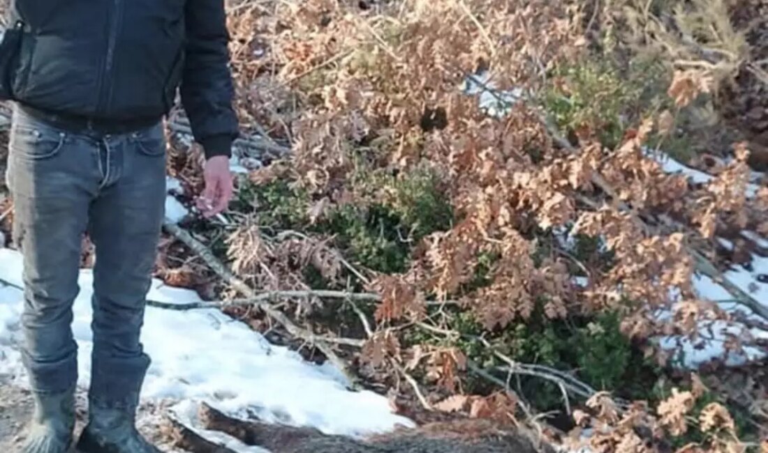 Çanakkale'de av dönüşünde meydana gelen tüfek kazasında bir genç adam